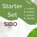 L. reuteri + B. subtilis + L. gasseri + B. infantis | Yogurt Starter Set | SIBO Stable | Starter Cultures | Pack of 3
